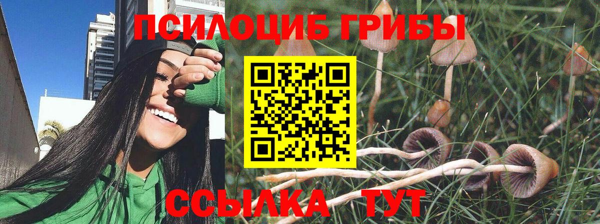 Галлюциногенные грибы мицелий Саянск